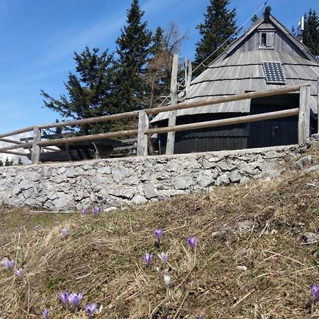 Chalet Resa - Velika Planina Stahovica Exterior foto
