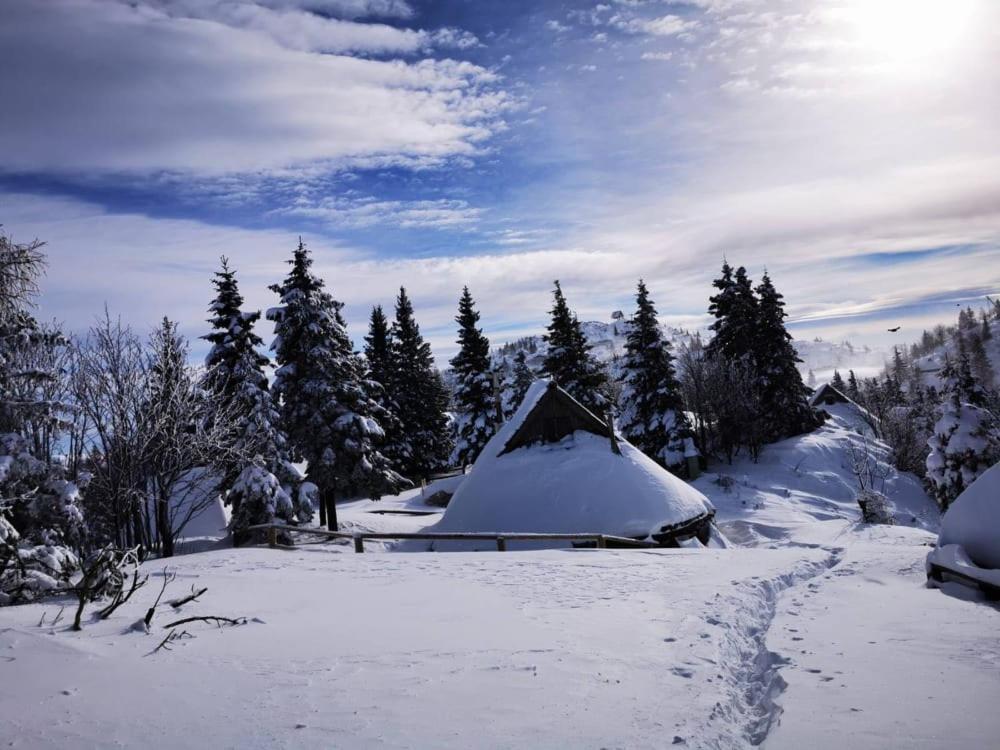 Chalet Resa - Velika Planina Stahovica Exterior foto